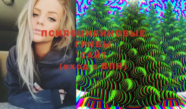 MESCALINE Баксан